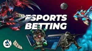 vwin casino